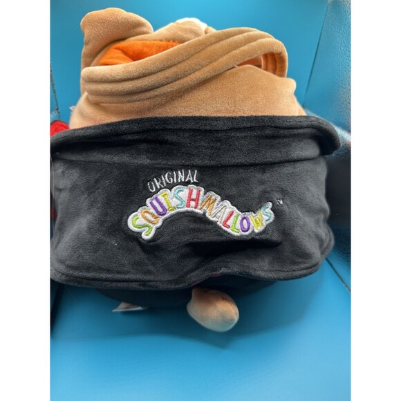 NWT! Squishmallows Reginald Vampire Corgi Treat Pail Ultra soft Official Plush - Picture 5 of 5